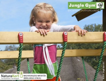jungle_gym_net_link_2