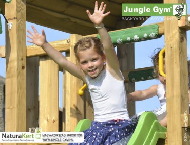 Jungle Gym House
